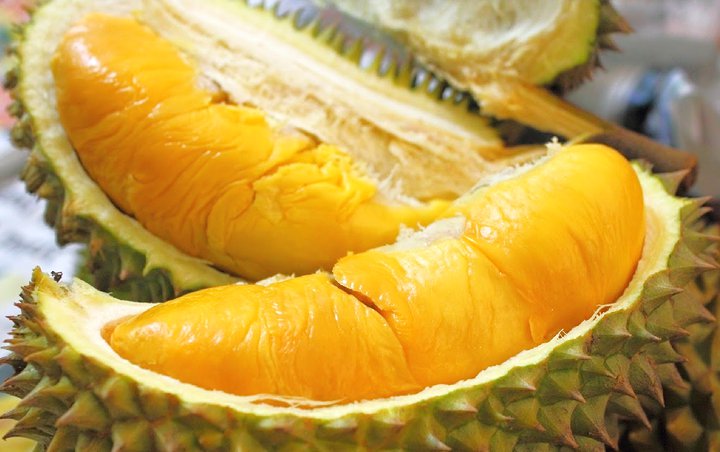 Panduan Lengkap Mengenal Durian, Buah dengan Aroma Khas yang Menggoda